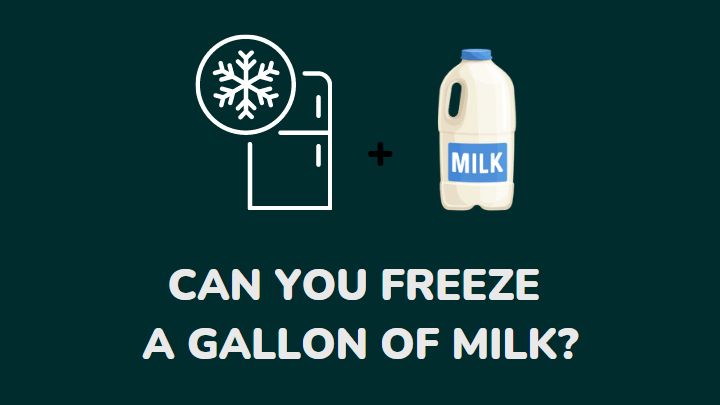 can you freeze gallon of milk - millenora