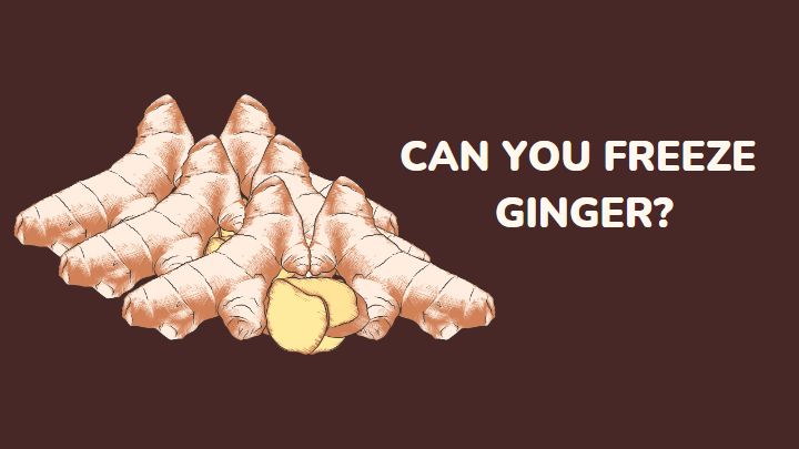 can you freeze ginger - millenora
