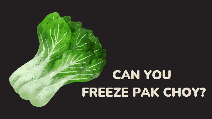 can you freeze pak choy - millenora