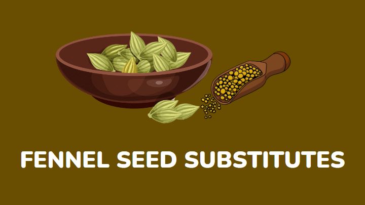 fennel seed substitutes - millenora