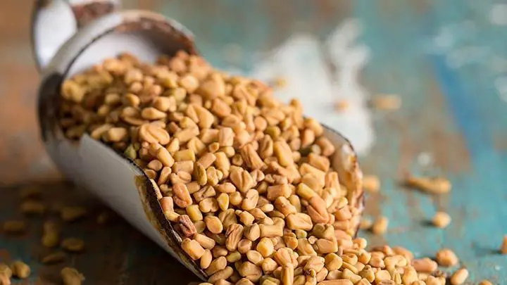 fenugreek seeds - millenora
