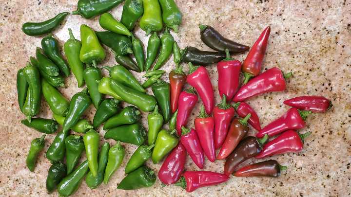  fresno peppers - millenora