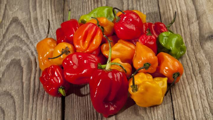 habanero peppers - millenora