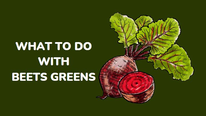 what to do with beets greens - millenora