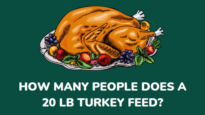 20 lb turkey feeds how many - millenora
