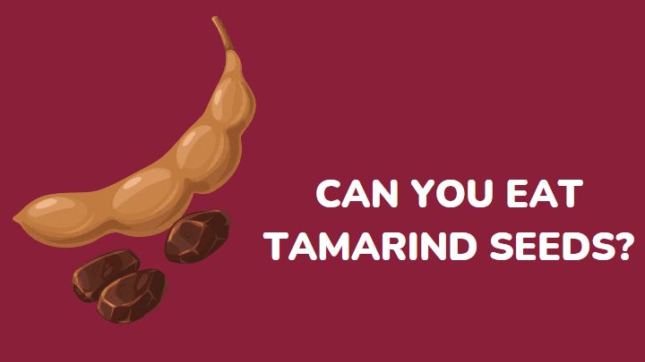 can you eat tamarind seeds - millenora