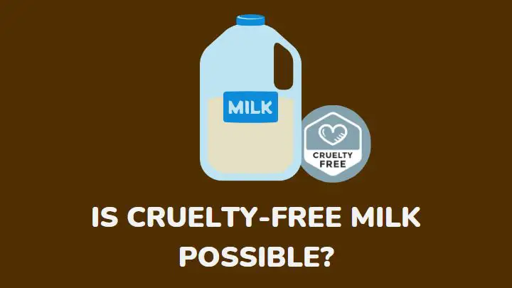 cruelty-free milk - millenora