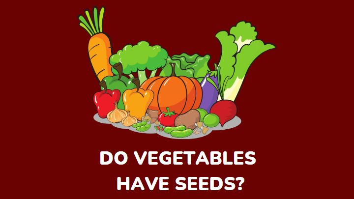 do vegetables have seeds - millenora