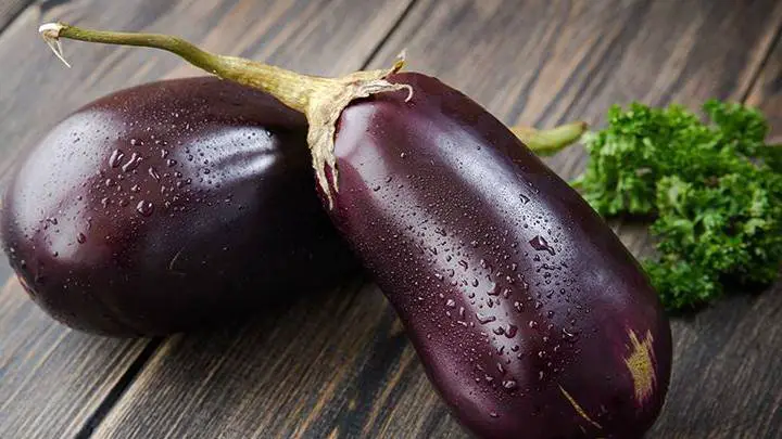 vegetables that have seeds - millenora
