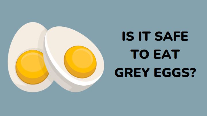 grey eggs - millenora