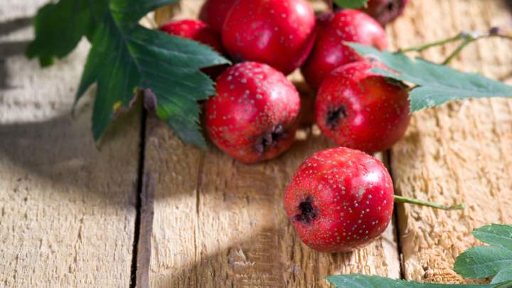 hawthorn apples - millenora