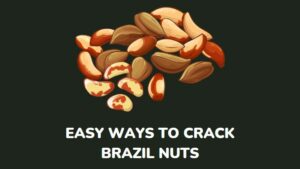 How To Crack A Brazil Nut In 4 Easy-Peasy Methods - millenora