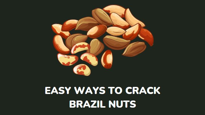 how to crack a brazil nut - millenora