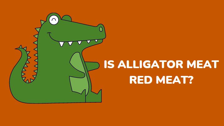 is alligator red meat - millenora