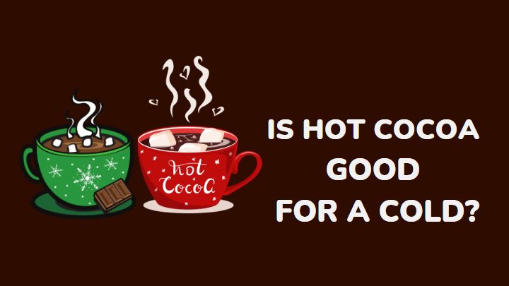 is hot cocoa good for a cold - millenora