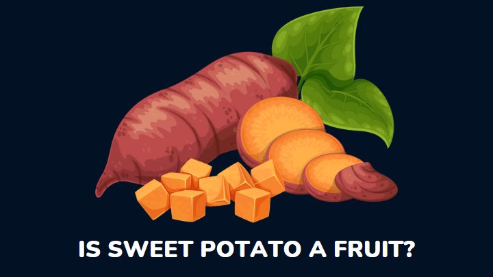 is sweet potato a fruit - millenora