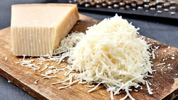 parmesan cheese provolone substitute - millenora