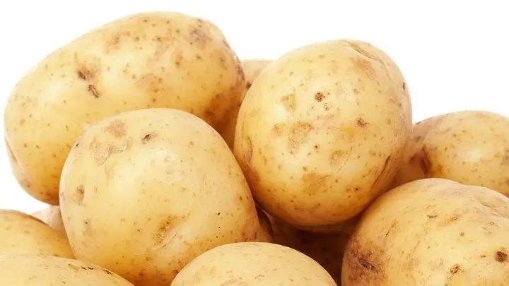 potato - millenora