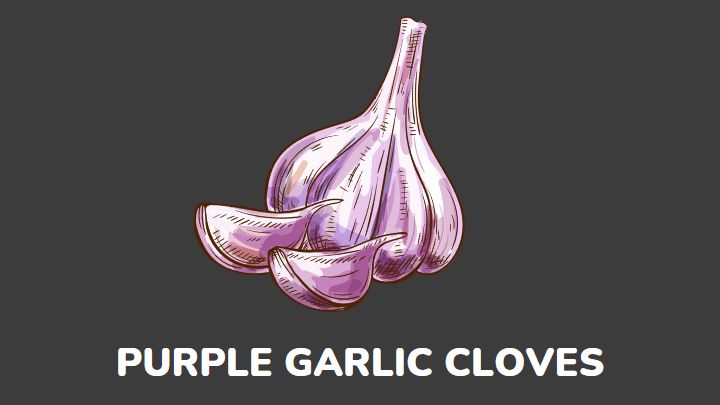 purple garlic cloves - millenora