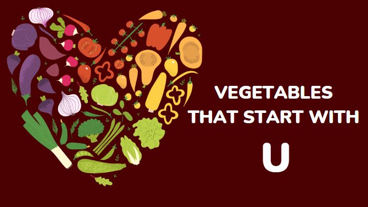 vegetables that start with u - millenora