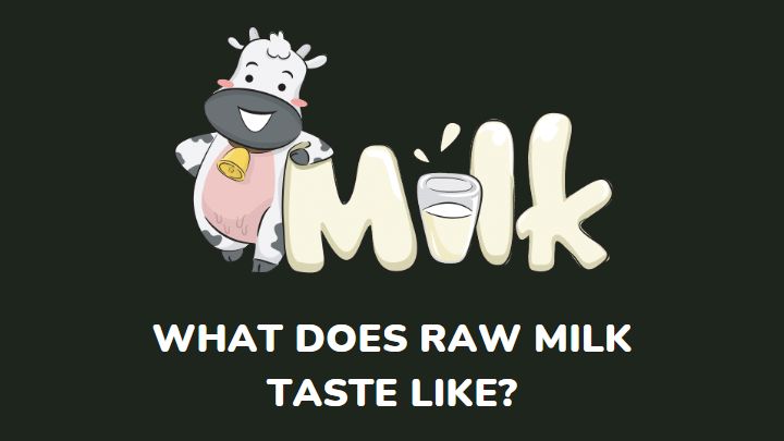 what does raw milk taste like - millenora