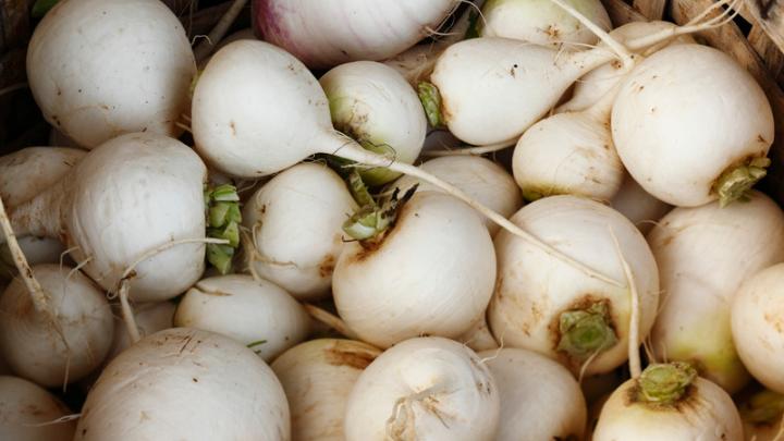 white turnips - millenora