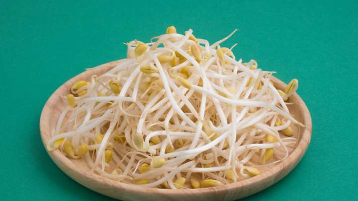bean sprouts - millenora