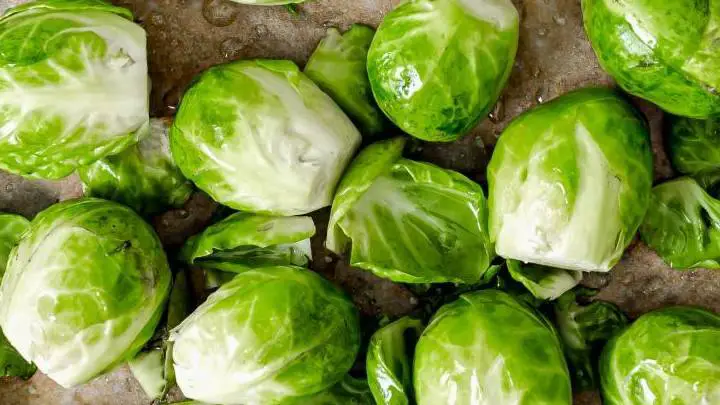 brussels sprouts - millenora