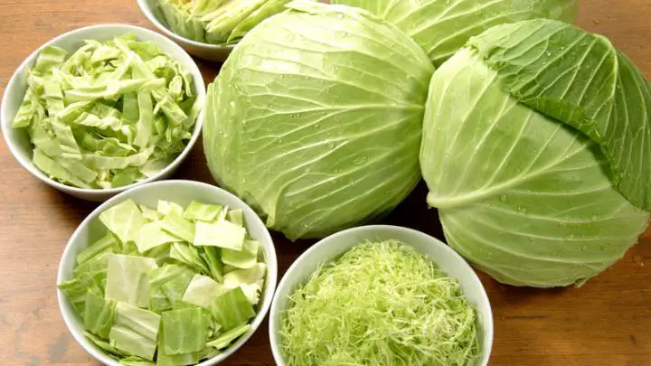 cabbage onion substitutes - millenora