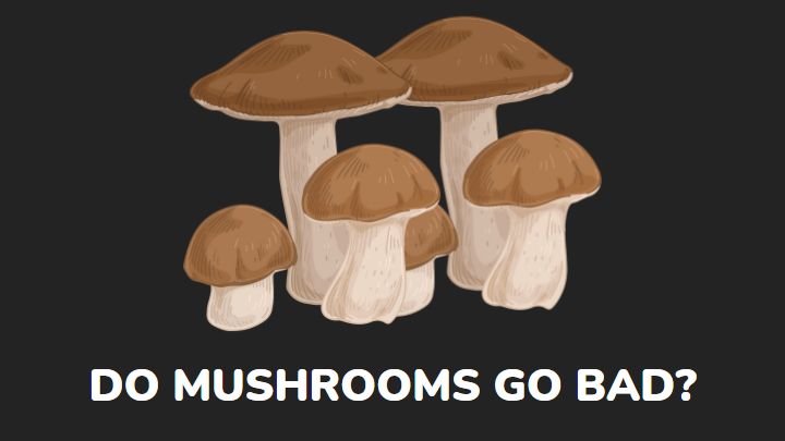 do mushrooms go bad - millenora