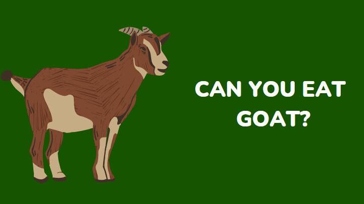 do people eat goats - millenora