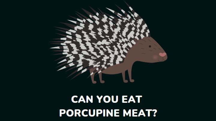 porcupine meat - millenora