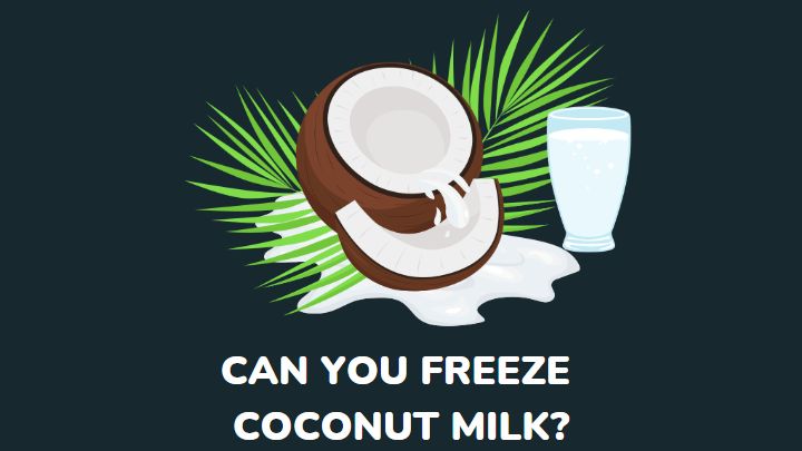 can you freeze coconut milk - millenora