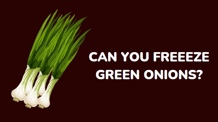 can you freeze green onions - millenora