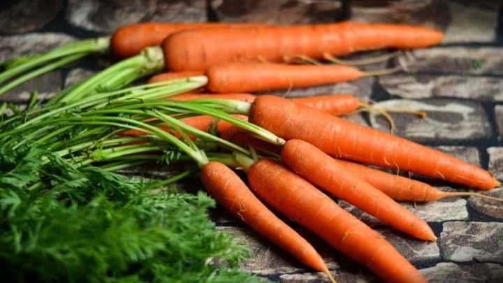 carrots - millenora