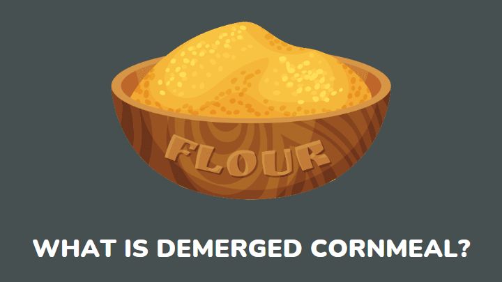 degermed-yellow-cornmeal-meaning-comparison-uses-millenora