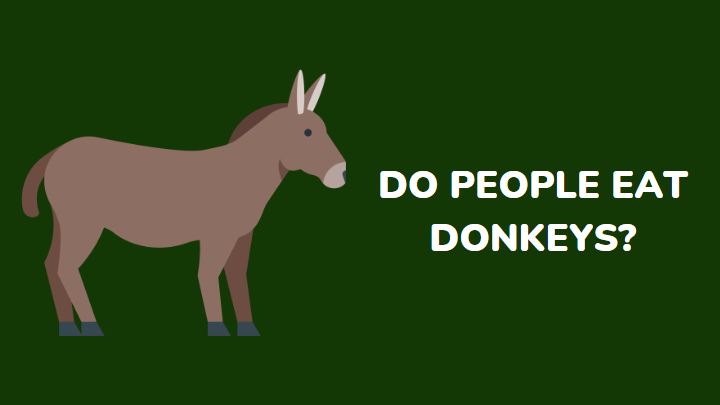 do people eat donkeys - millenora