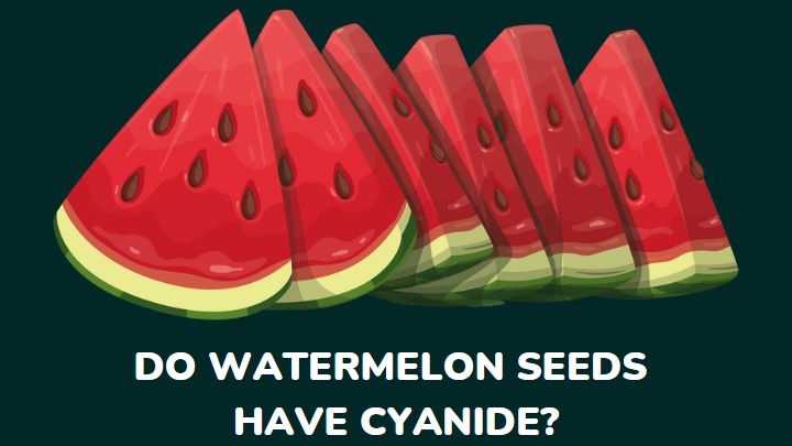 do watermelon seeds have cyanide - millenora