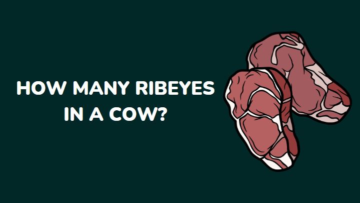 how many ribeyes in a cow - millenora