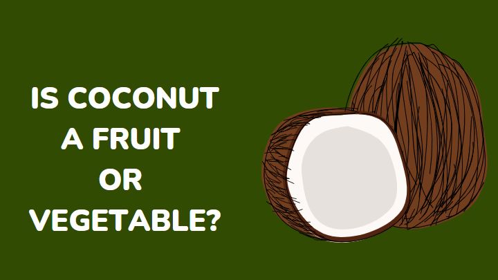 is coconut a fruit or vegetable - millenora