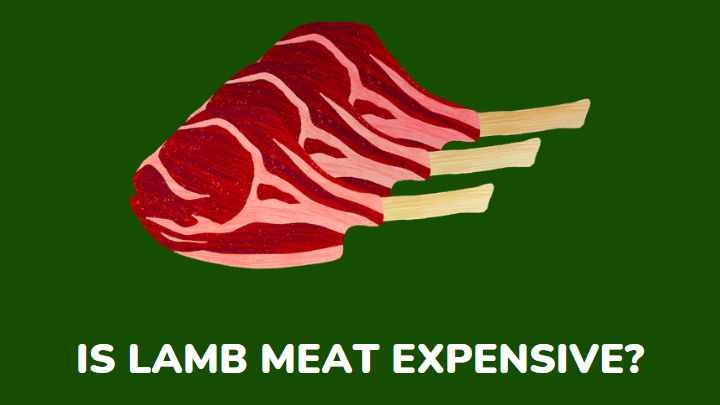 is lamb expensive - millenora