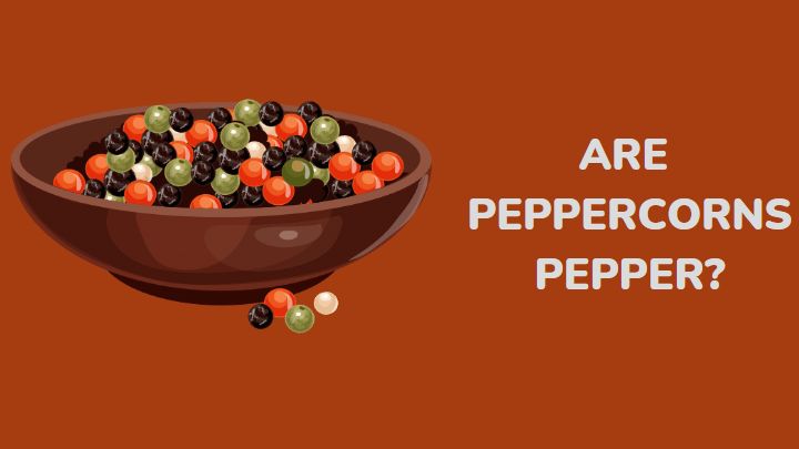 peppercorn vs pepper - millenora