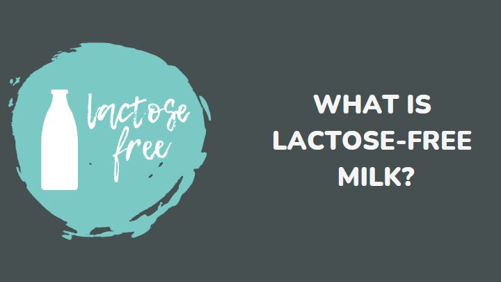 what is lactose-free milk - millenora