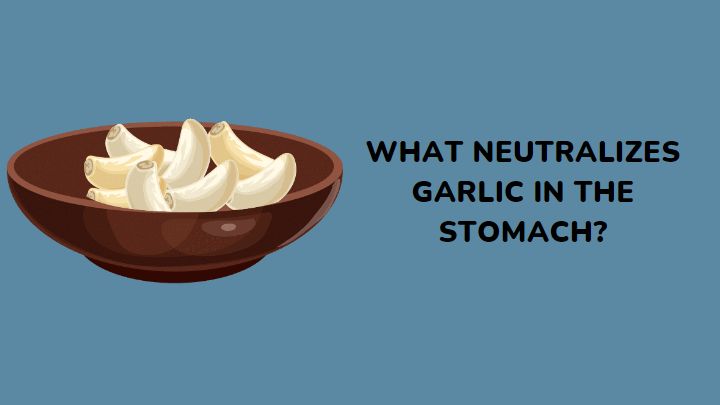 what neutralizes garlic in the stomach - millenora