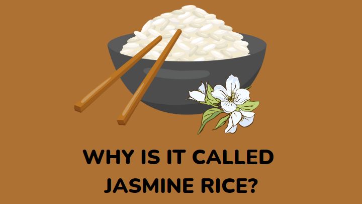 why is jasmine rice called jasmine rice - millenora