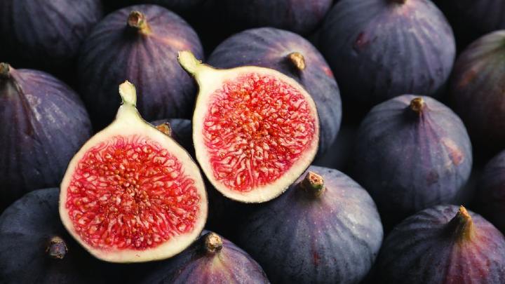 figs - millenora