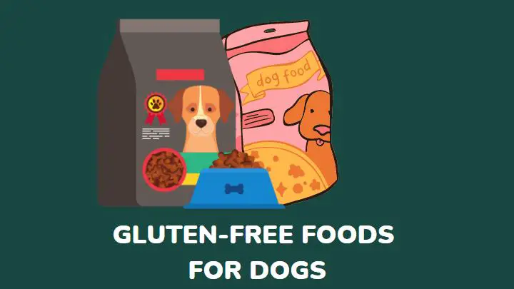 natural gluten-free foods for dogs - millenora