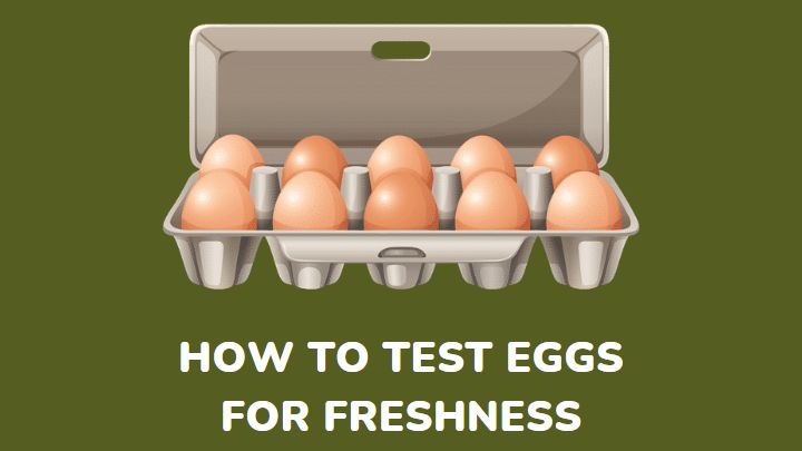 how to test eggs for freshness - millenora