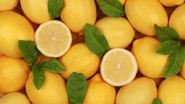 foods that start with l - millenora