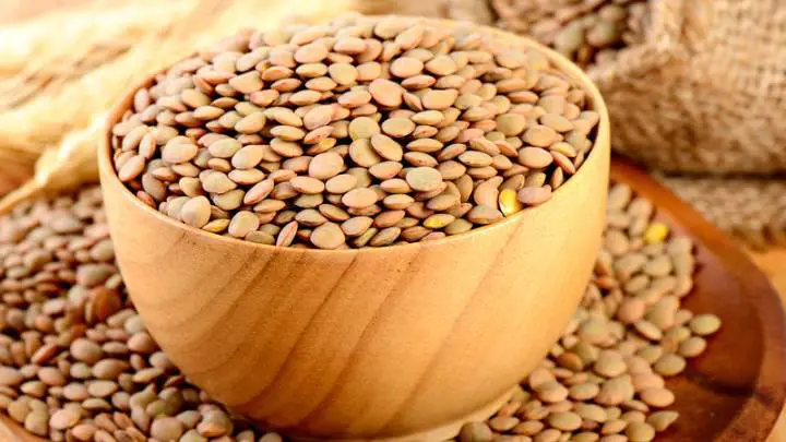 lentils - millenora